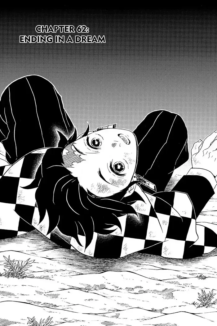 Demon Slayer Chapter 62 image 07_optimized
